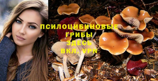 стафф Алзамай