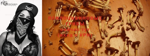 стафф Алзамай