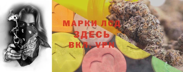 стафф Алзамай